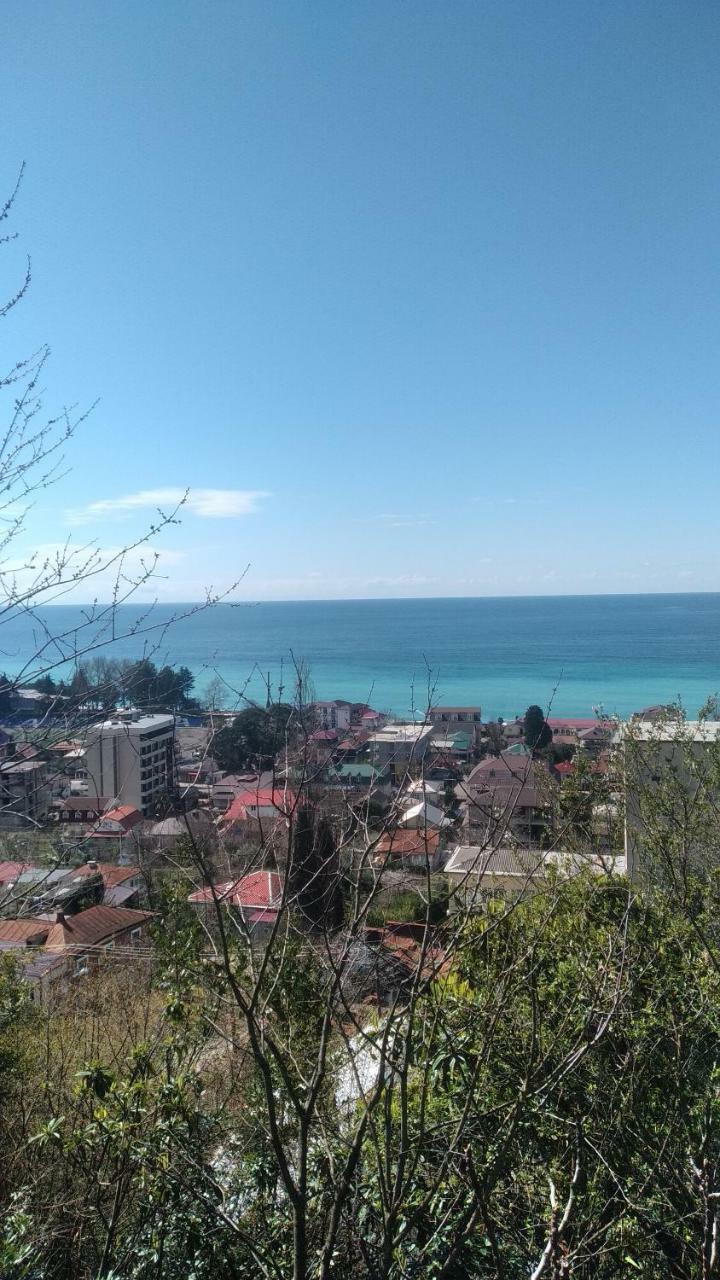 Отдых У Анаиды Gagra Exteriör bild
