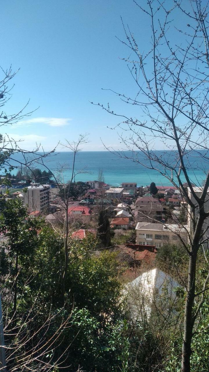 Отдых У Анаиды Gagra Exteriör bild